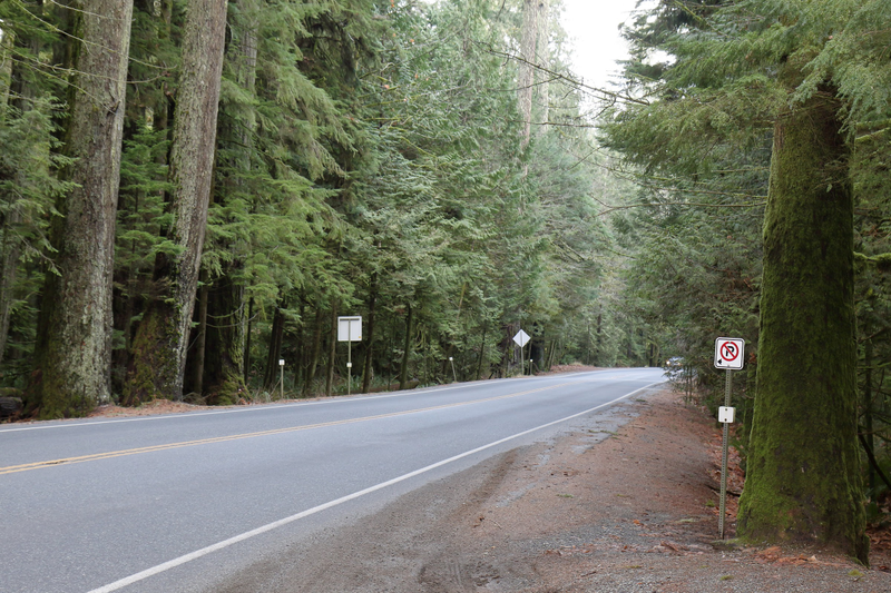 Illustration for article titled Trip Recap: 2017-12-09 on the Pacific Rim Highway to the Wild Pacific Trail
